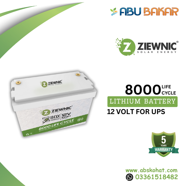 Ziewnic 12V Lithium Battery